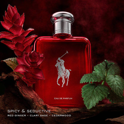 POLO by Ralph Lauren